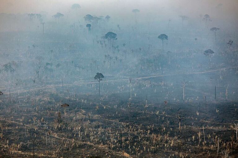 Oito das 10 terras indígenas mais desmatadas em 2025 são no Amazonas