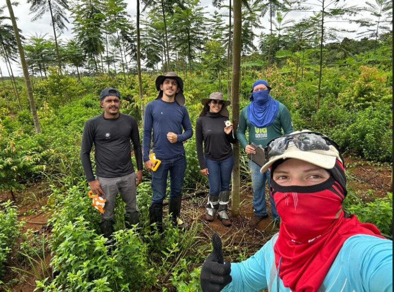 Grupo realiza experimentos de silvicultura em Rondônia: “geração de conhecimento”