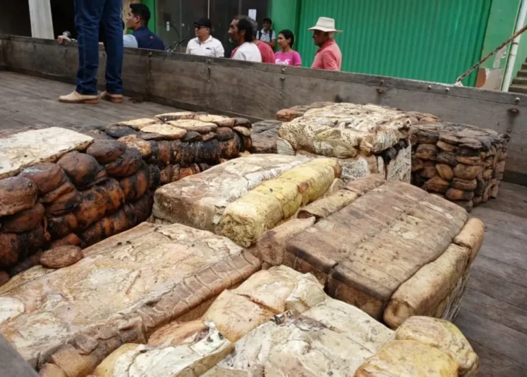 Comercialização de borracha de Unidades de Conservação impulsiona extrativismo sustentável em Rondônia