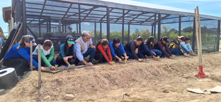 Criação de peixes, galinhas e roçado fazem parte de estratégia para fortalecer a TI Yanomami