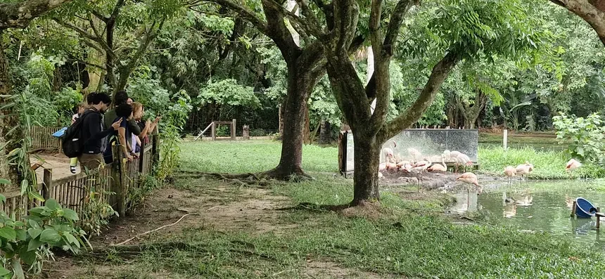 parque mangal das garças, em belém