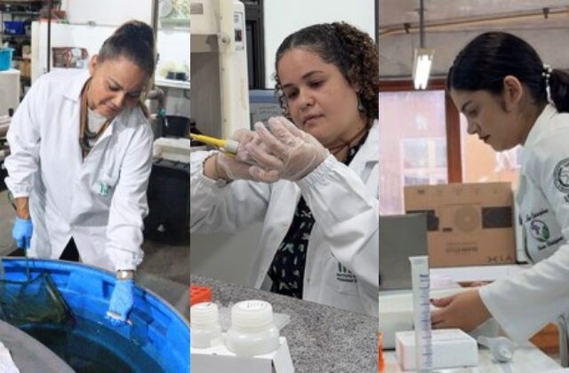 Três mulheres com trajetórias de destaque para entender a importância da ciência