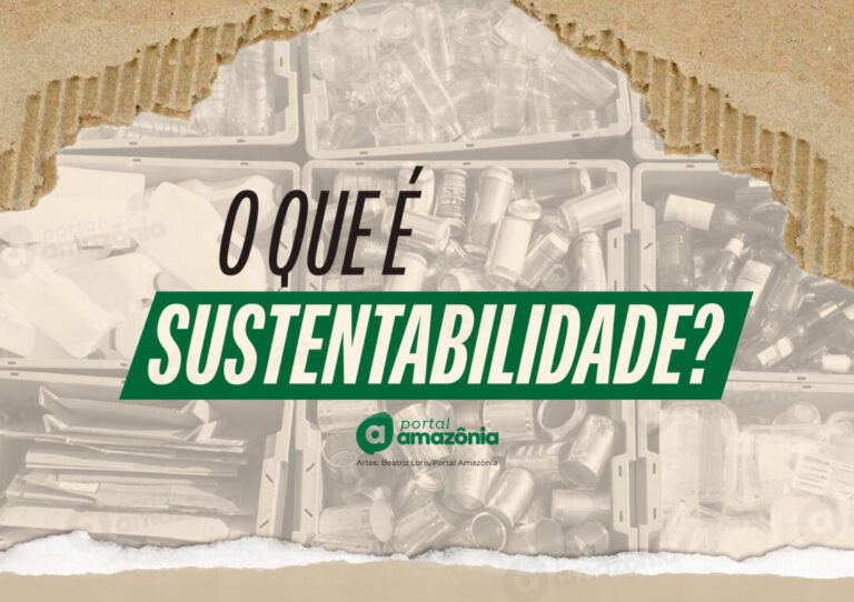 O que é sustentabilidade? Entenda como o termo surgiu e qual seu propósito