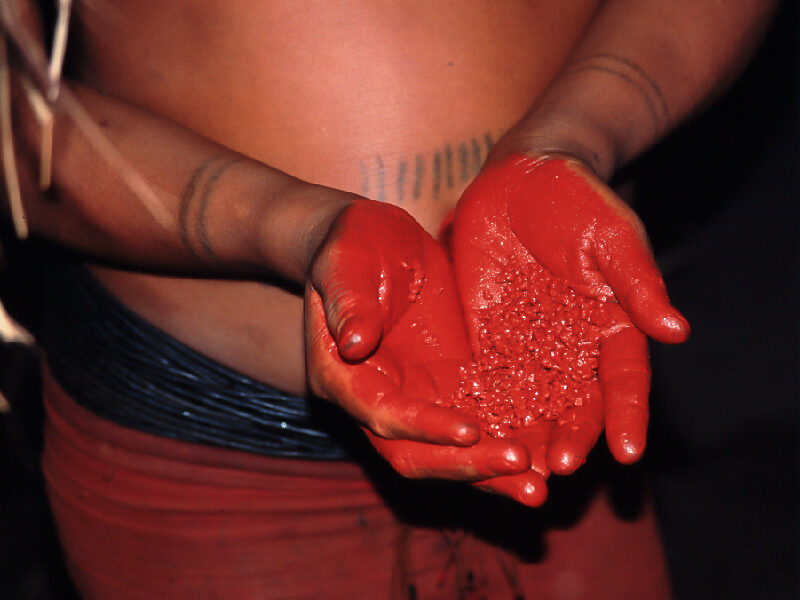 Como são feitas as tinturas para as pinturas corporais indígenas? - URUCUM