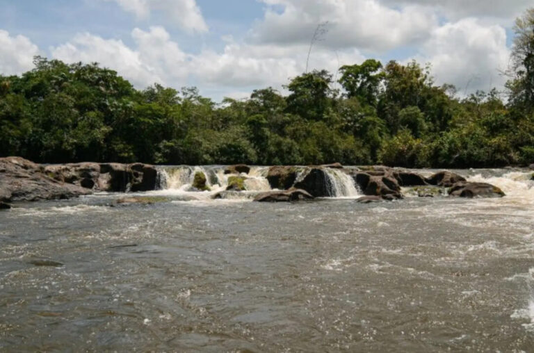 Amapá registra primeira Unidade de Conservação subnacional do Brasil na Lista Verde Internacional