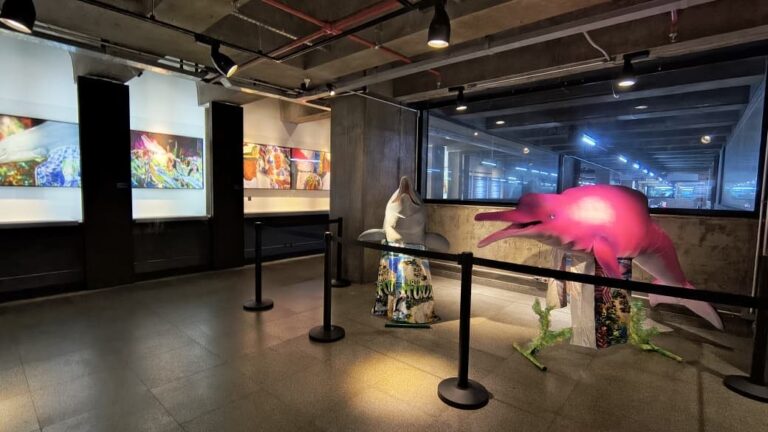 Sairé é tema de exposição no Museu de Arte Sacra de São Paulo