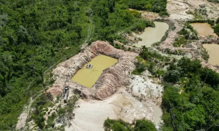 Tribunal Regional Federal da 1ª Região mantém decisão que protege área da Terra Indígena Kayapó, no Pará