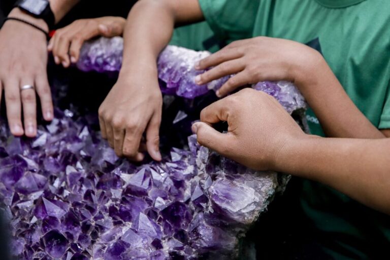Museu de Geociências da UFPA: acervo conta história geológica da Amazônia