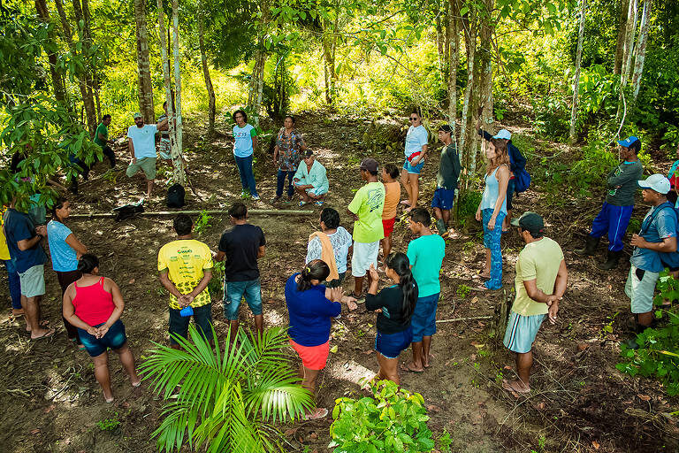 Software criado no Amazonas apoia ecossistema de inovação em processos de propriedade intelectual