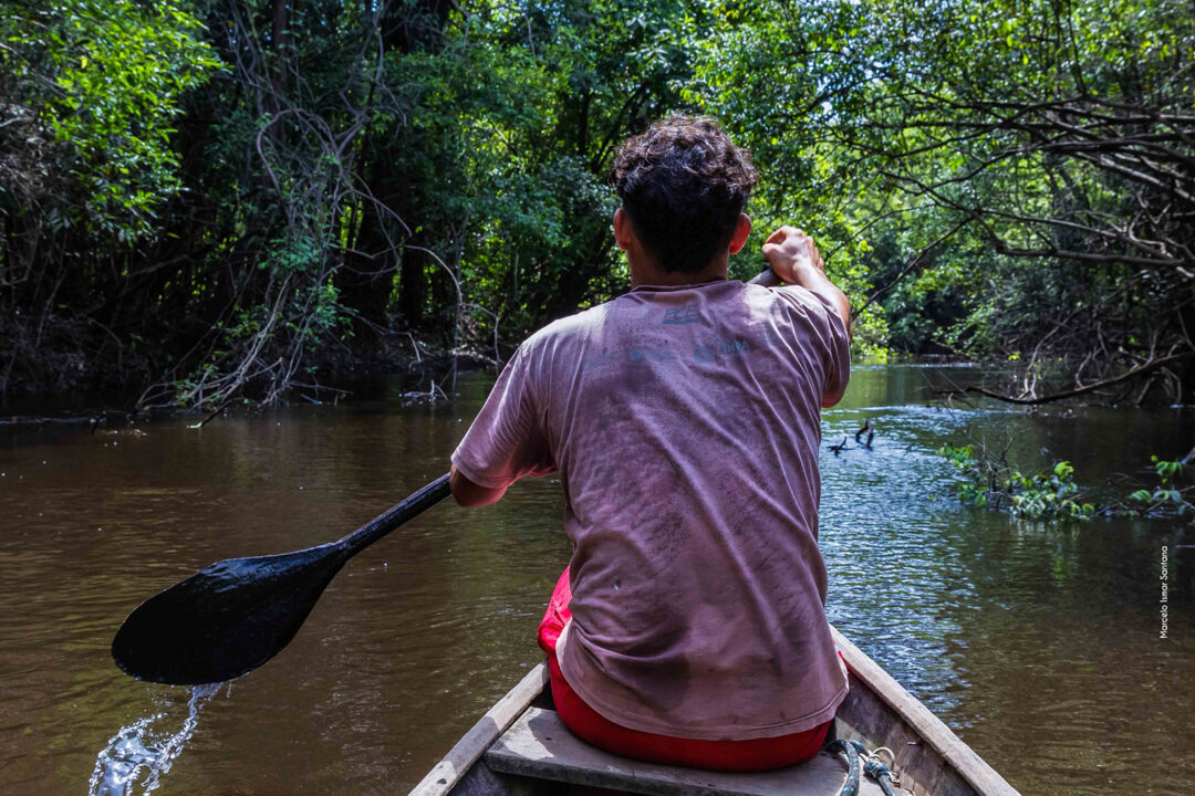 humanos e mamíferos podem ter ótima convivência, principalmente em comunidades ribeirinhas. 