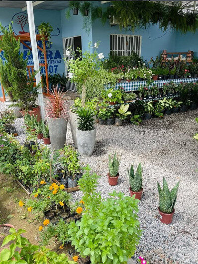 jardinagem é uma prática sustentável