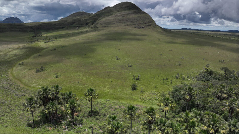 Cerrado apresentou redução no desmatamento 
