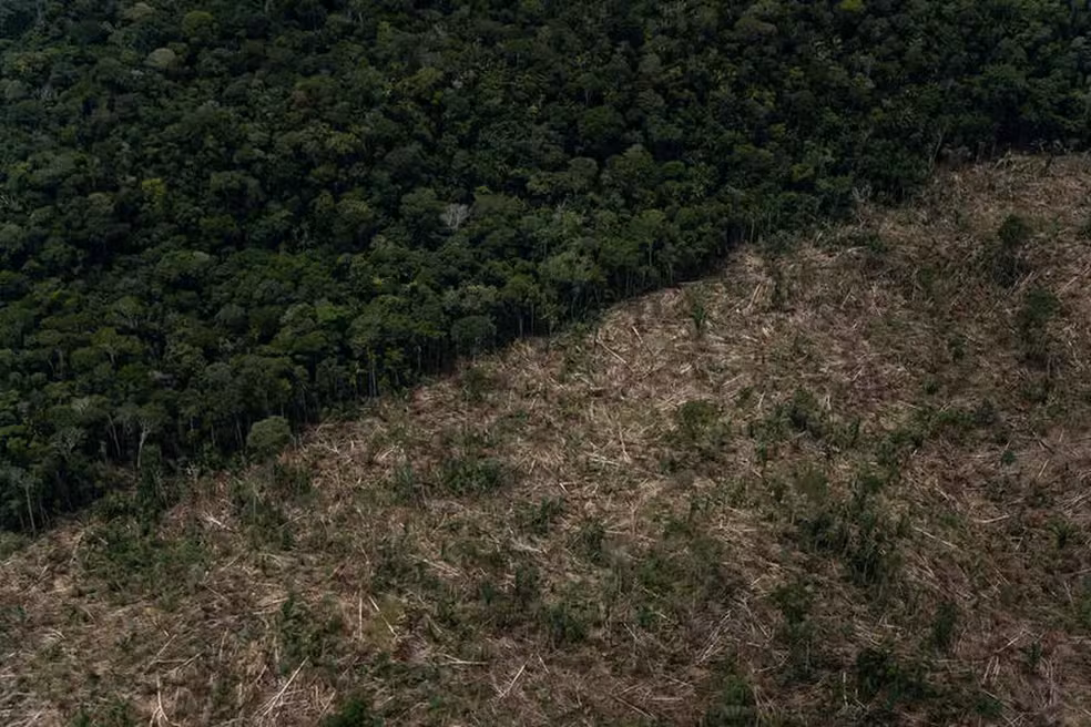 Imagem aérea de sobrevoo de monitoramento de desmatamento na Amazônia no município de Lábrea, Amazonas, realizado em 26 de março de 2022.