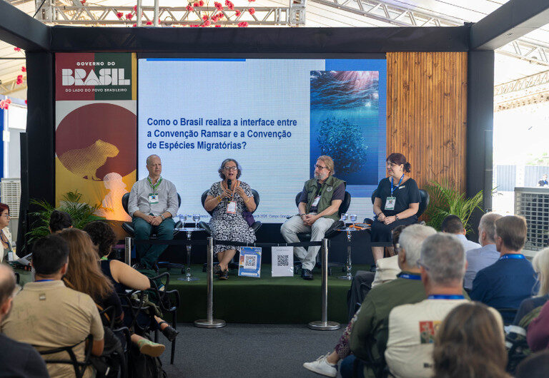 Ministério do Meio Ambiente defende debates globais sobre proteção de espécies migratórias