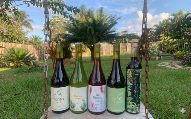 Vinhos de açaí e cupuaçu: inovação transforma sabores da Amazônia na famosa bebida fermentada