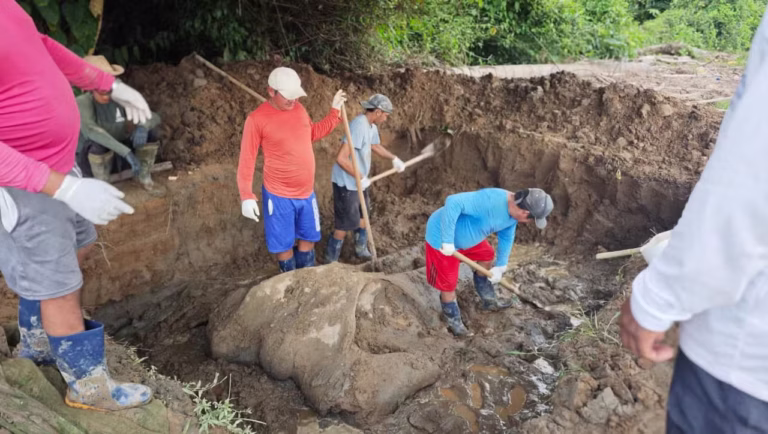 Equipe resgata ossos de baleia de 14 metros e prepara coleção científica no Amapá
