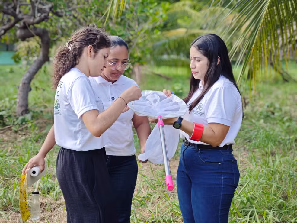 Pesquisa da Unifap investiga a Praga do Coqueiro. Foto: Unifap/Divulgação