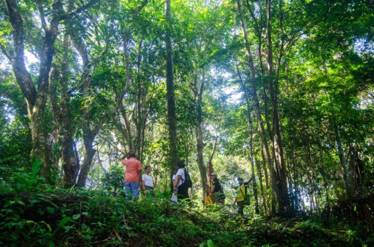 Turismo de Base Comunitária: Barcarena abre nova temporada para visitas em roteiros turísticos