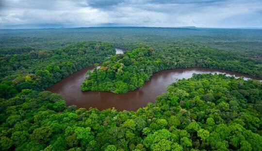 Amazônia, vista aérea
