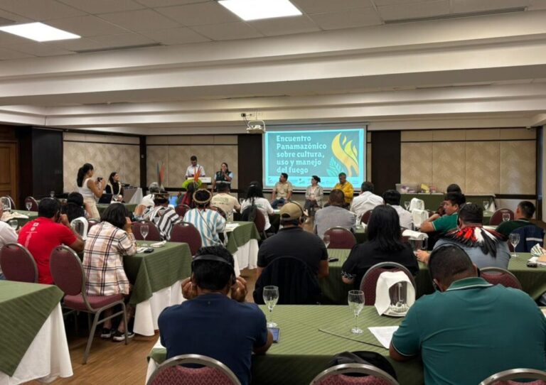 Manejo do fogo ganha destaque em encontro que reúne países da Pan-Amazônia