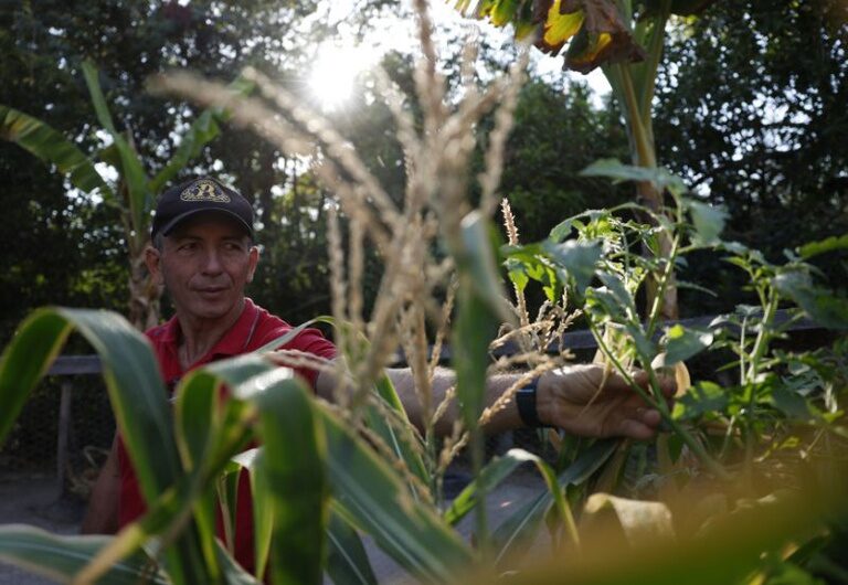Cerca de 40 mil agricultores serão beneficiados com a regularização fundiária, no Maranhão - Foto: Fernando Frazão/Agência Brasil