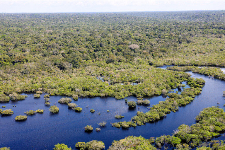 11 projetos voltados à restauração da Amazônia Legal são selecionados pelo Governo Federal