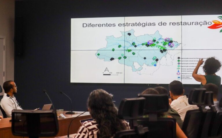Pesquisa orienta escolha de áreas prioritárias para restauração no Pará