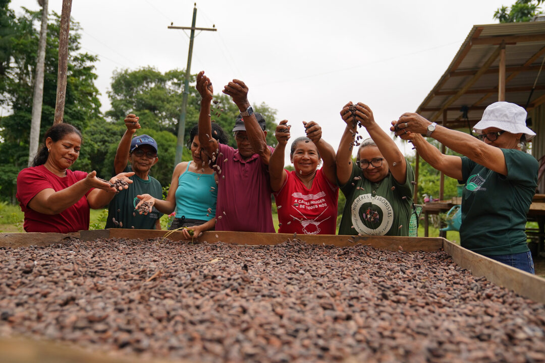 Mulheres mantém tradição da fabricação de chocolate a partir da produção orgânica do cacau em Tefé