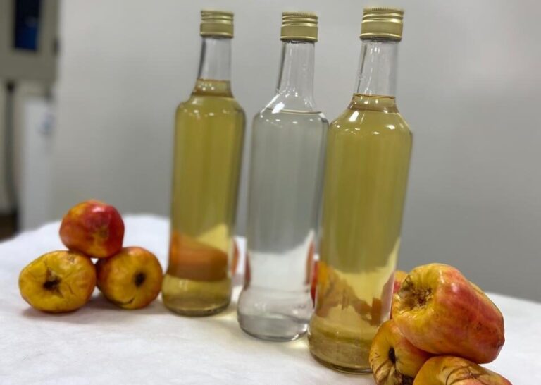 Mulheres de Roraima recebem capacitação para produção de cajuína