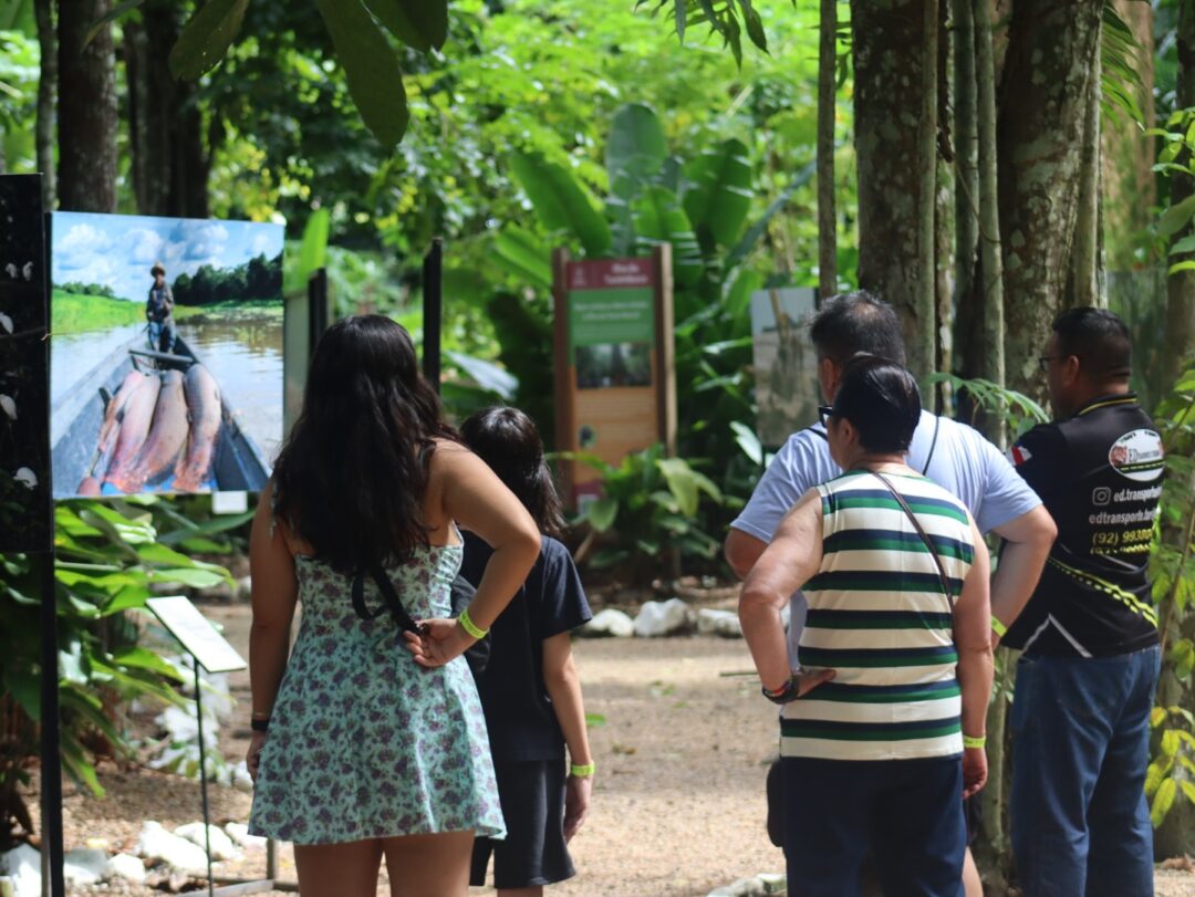 Férias no Bosque 2026. 
