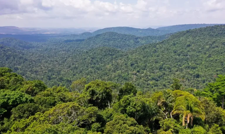 Amazônia, eterno conflito planos-programas-soluções