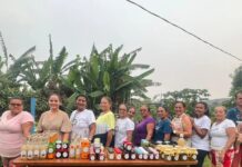 Formada por mulheres, Associação das Mulheres Produtoras de Polpa de Fruta (AMPPF) transforma pasto em floresta produtiva no Pará