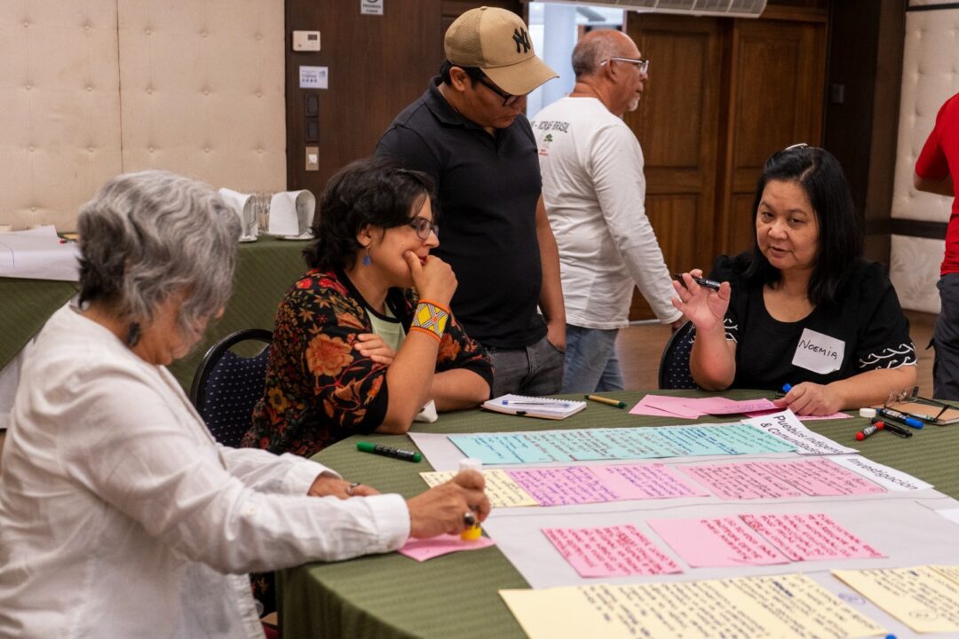 instituto mamiraua estuda manejo do fogo 