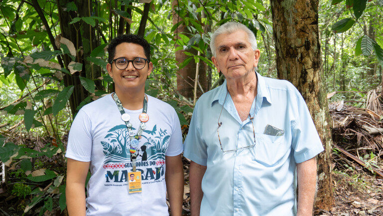 Raro em registros científicos, ninho da vespa Mischocyttarus artifex Ducke é encontrado no Campus de Pesquisa do Museu Goeldi