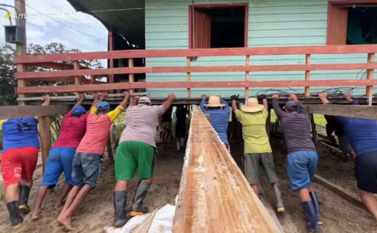 ‘Terras caídas’: moradores se unem para deslocar casas em Careiro da Várzea, no Amazonas