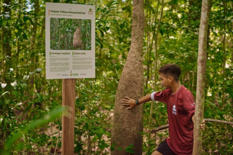 Trilhas interpretativas são implementadas em unidades de conservação do Amazonas