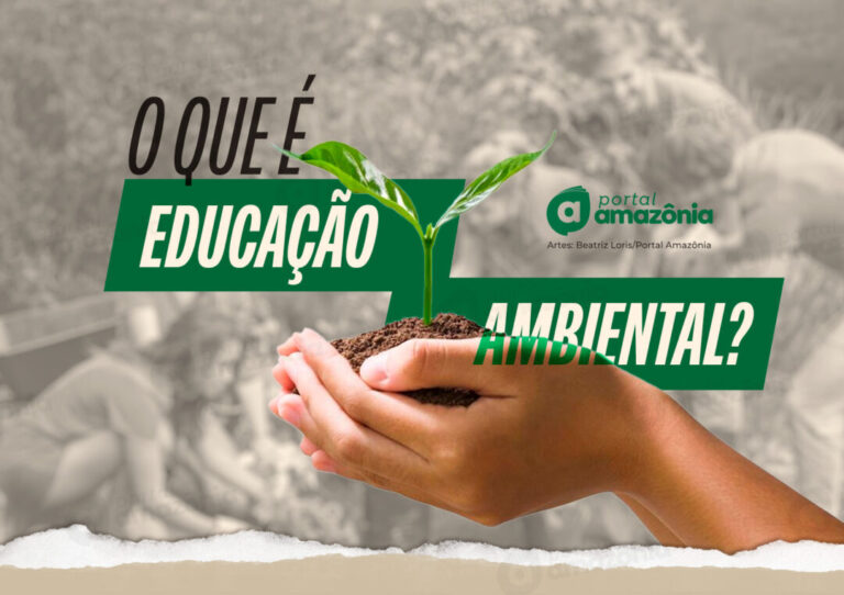 Entenda que é educação ambiental e porquê ela é uma ferramenta importante para o futuro