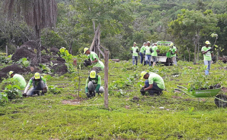 Plantio na região rural de Taquaruçu Grande, em Tocantins
