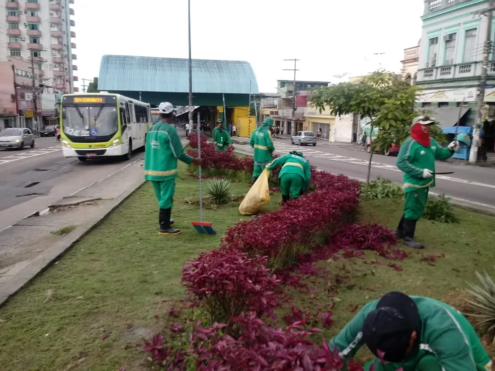 Plantio de mudas em canteiro, na cidade de Manaus.