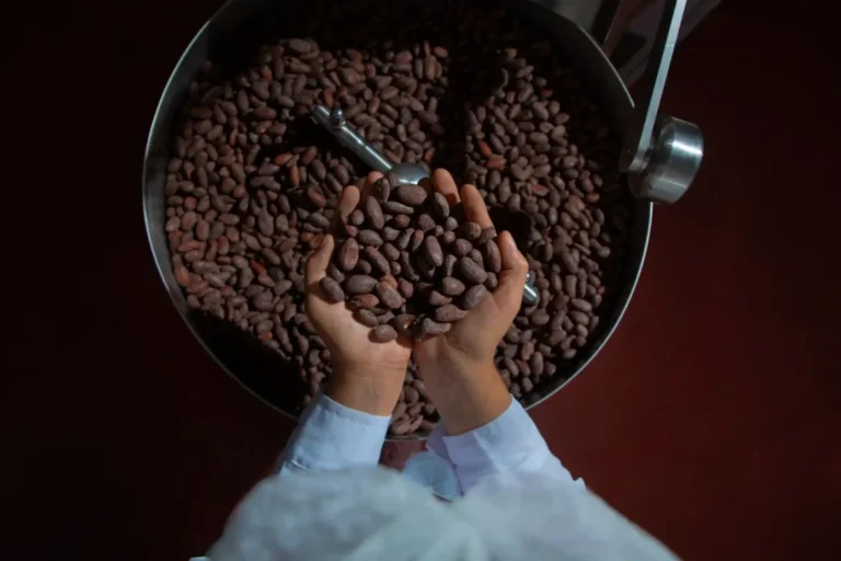 Cidade no Peru apresenta resultado de produção de cacau e café na Semana Santa