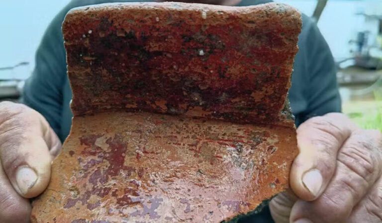 Vestígios históricos de ocupação humana na Amazônia são encontrados no Amazonas