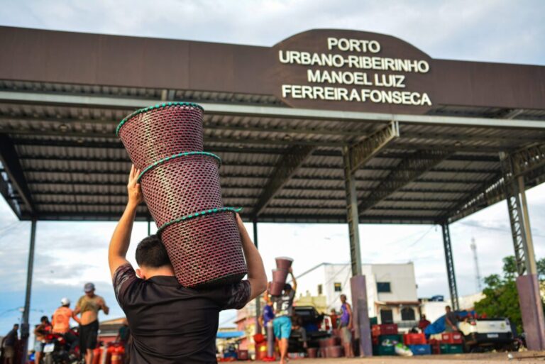 Igarapé-Miri se consolida como maior produtor de açaí, segundo estudo da Fapespa