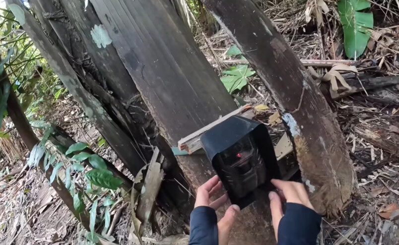 O registro da onça foi feito no distrito de Jaci-Paraná, em Porto Velho. Foto: Reprodução/Instagram-fabio_baca 