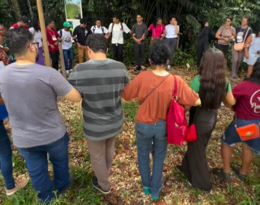 Agricultores e cientistas criam Fórum Popular Agroflorestal no Nordeste Paraense