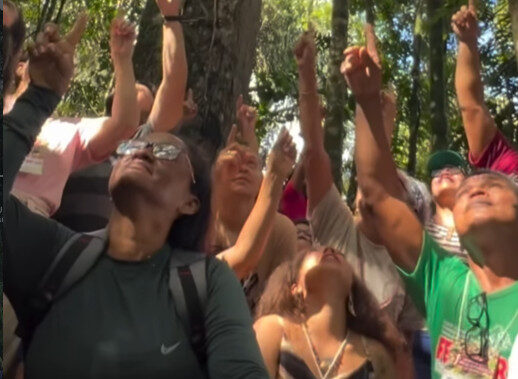Agricultores e cientistas criam Fórum Popular Agroflorestal no Nordeste Paraense