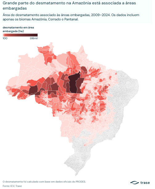 Nova análise revela a extensão do desmatamento não autorizado no Brasil