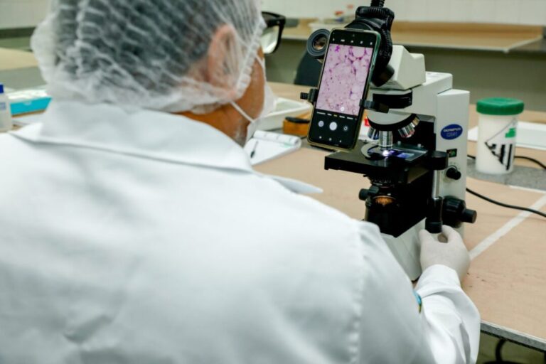 Rondônia reforça prevenção à Doença de Chagas com ações de orientação