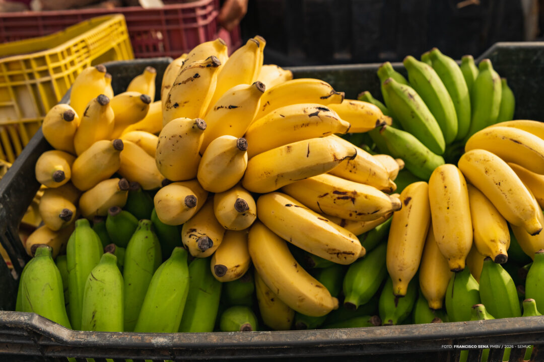 Agricultores entregam mais de 60 toneladas de alimentos em Boa Vista