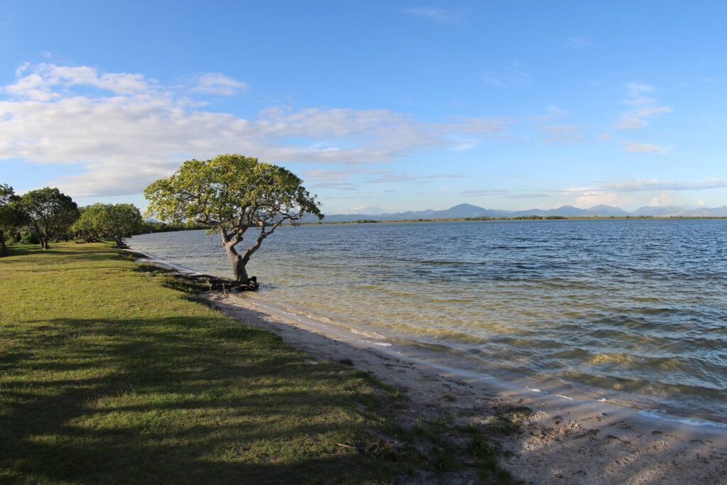 Lago Caracaranã (RR): guia completo com dicas, preços, regras e onde dormir