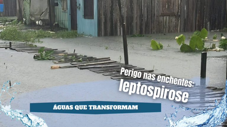 Leptospirose é um dos perigos da água das enchentes para a saúde pública; especialista explica